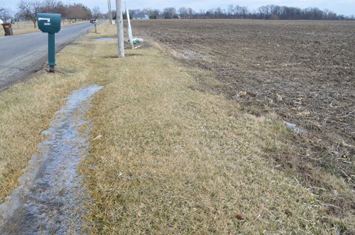 Property photo 5 - East Allen County Land Auction - 40 Acres in 2 Tracts